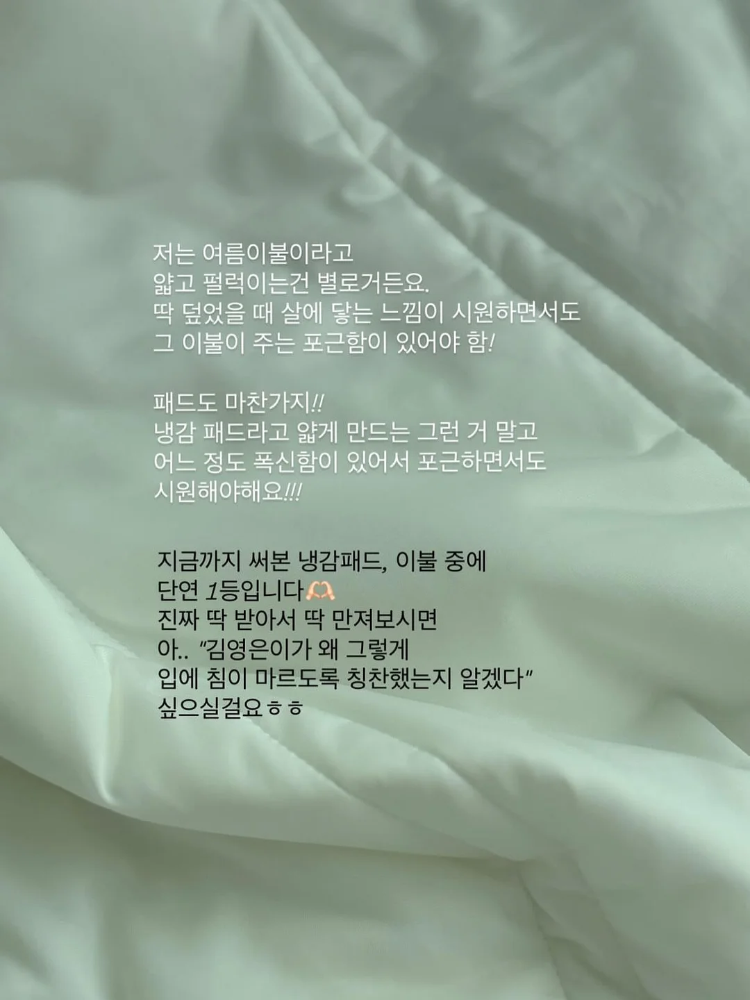 암모븀 꽃자재 2