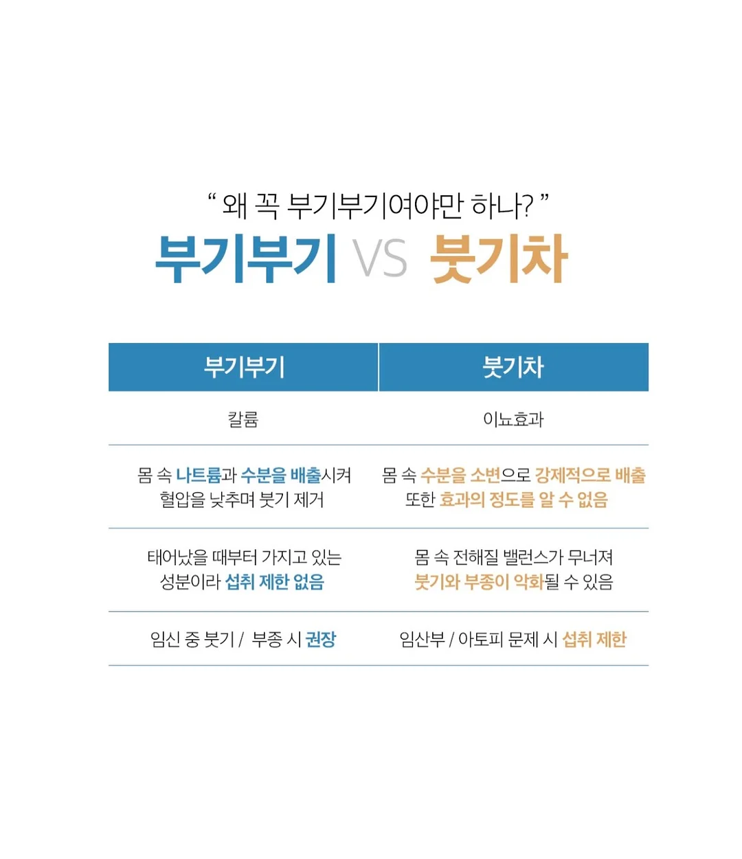 펫더월드 키티 얼음틀 13