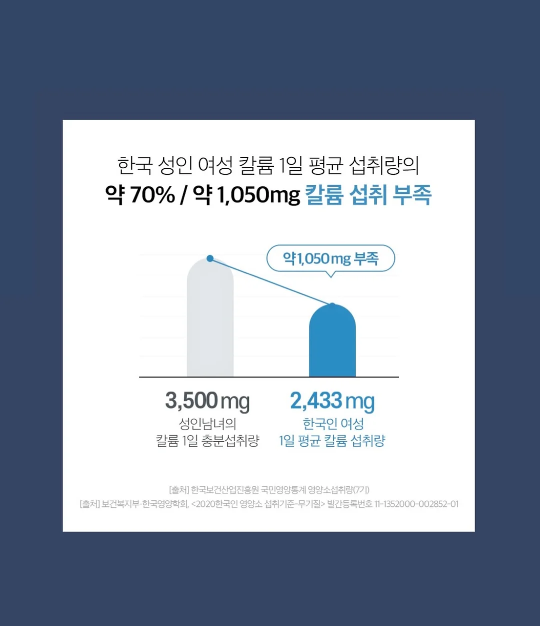 펫더월드 키티 얼음틀 14