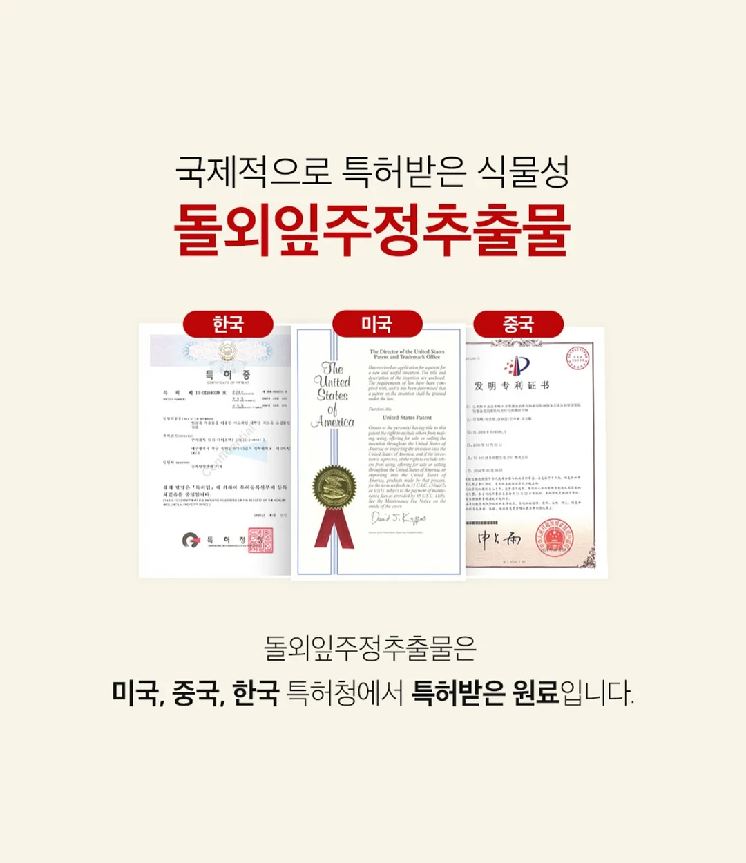 펫더월드 키티 얼음틀 18