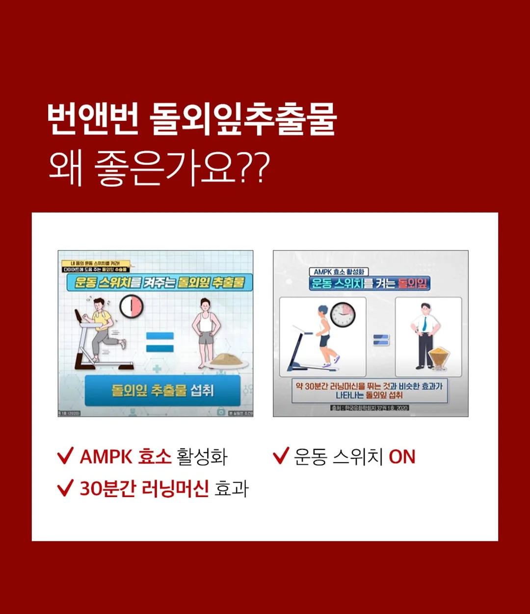 펫더월드 키티 얼음틀 19