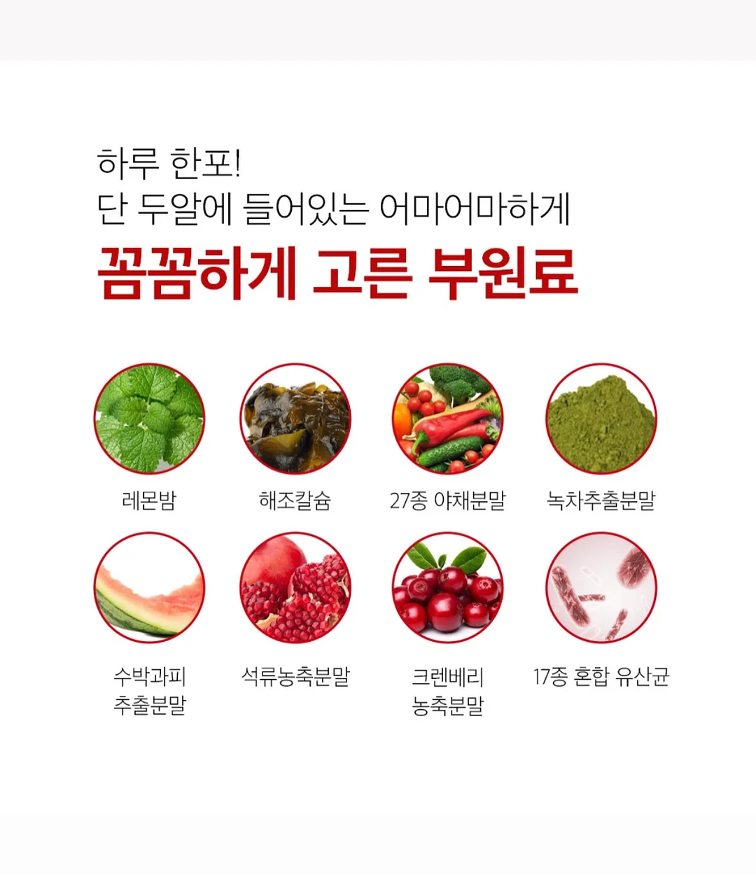 펫더월드 키티 얼음틀 20
