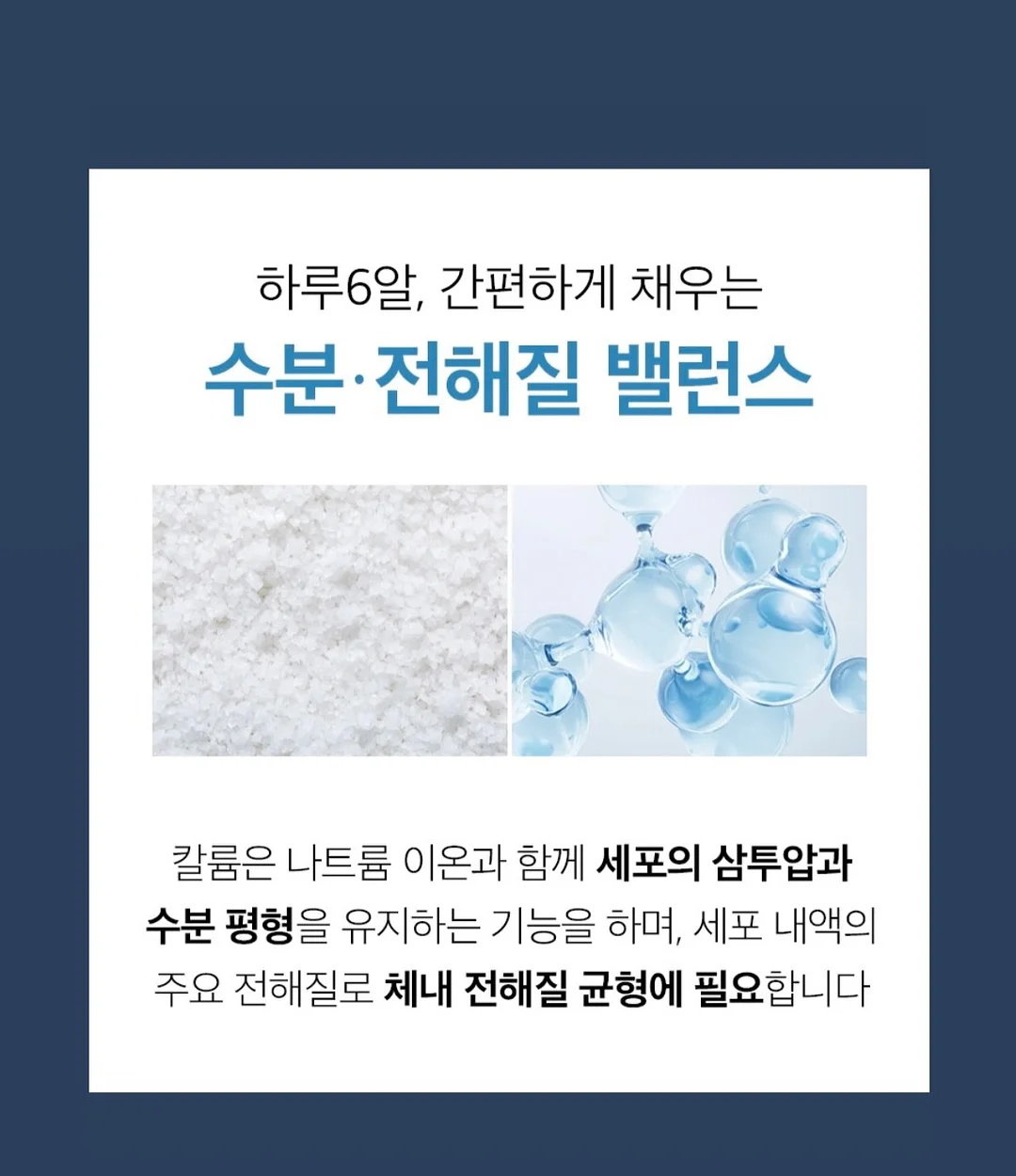 펫더월드 키티 얼음틀 8