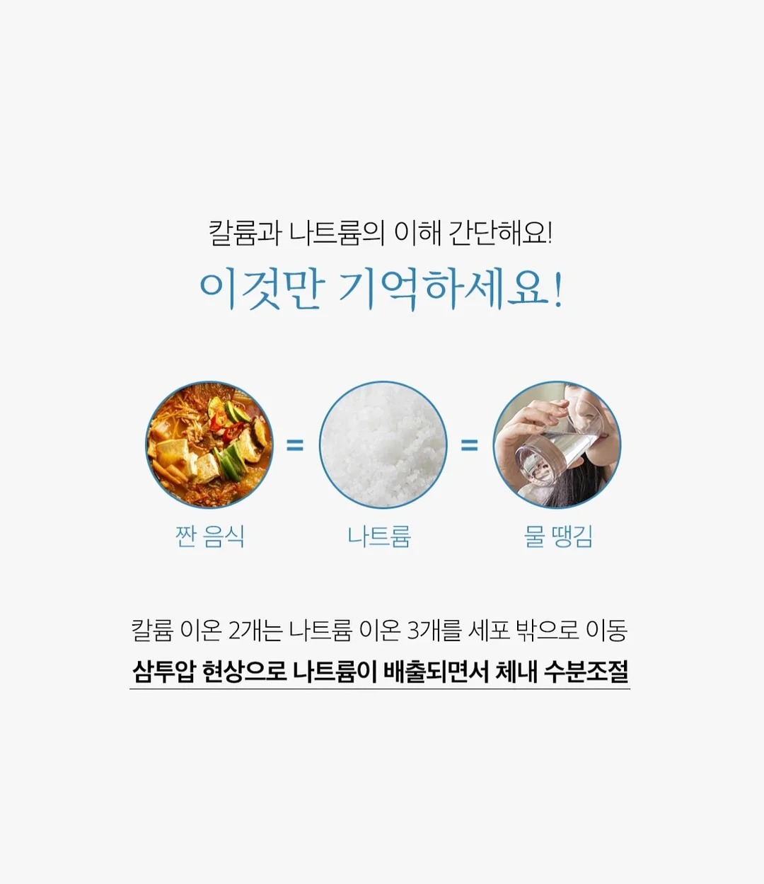 펫더월드 키티 얼음틀 9