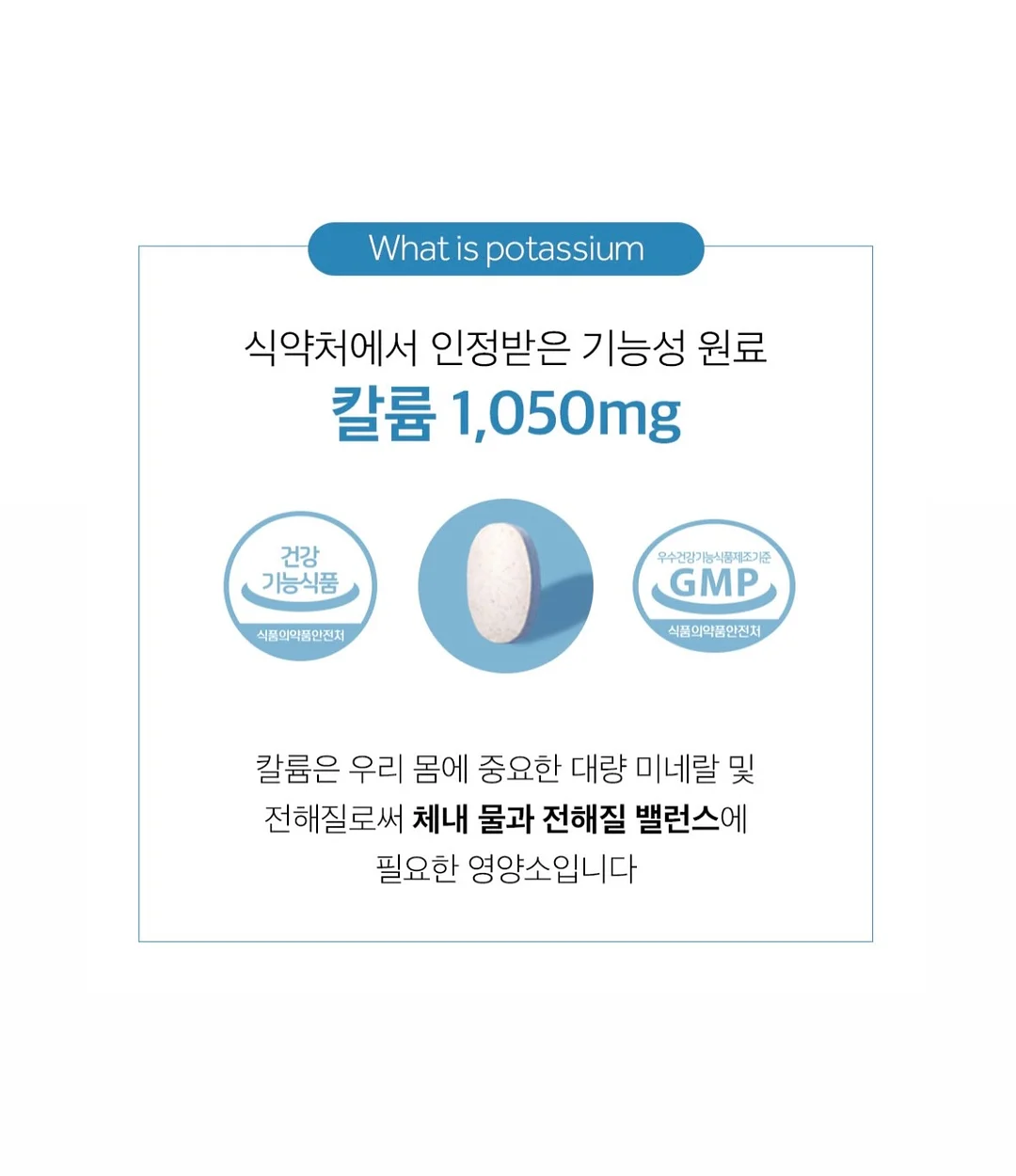 펫더월드 키티 얼음틀 10