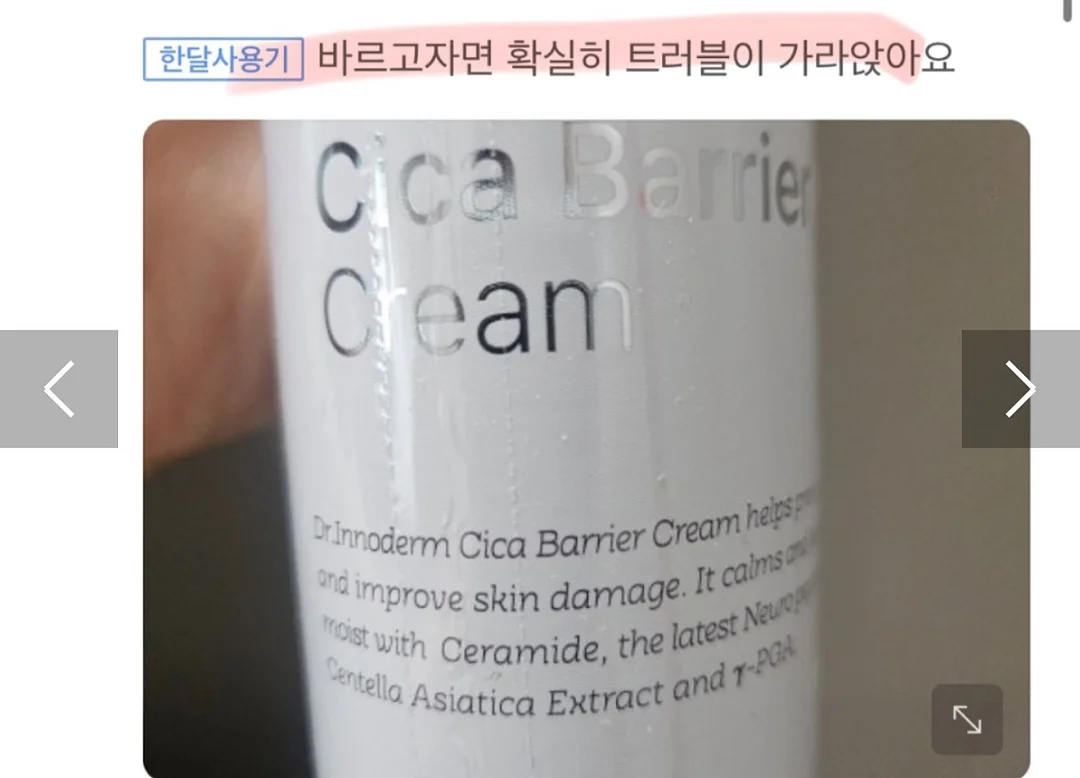 콩알금 13