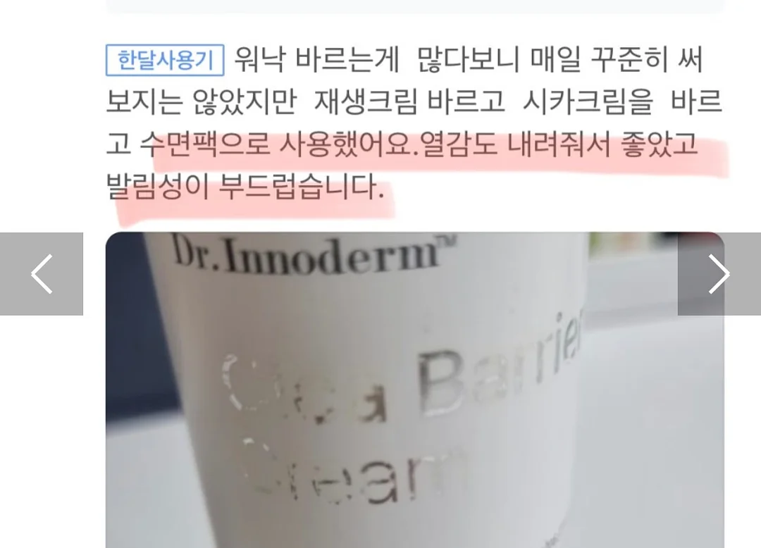 콩알금 14