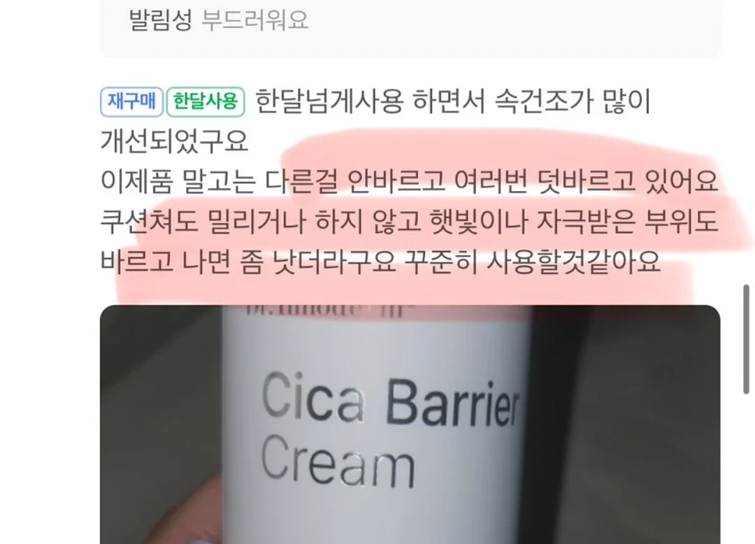 콩알금 10