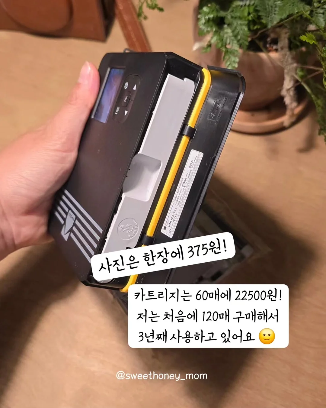 테잎세트 11