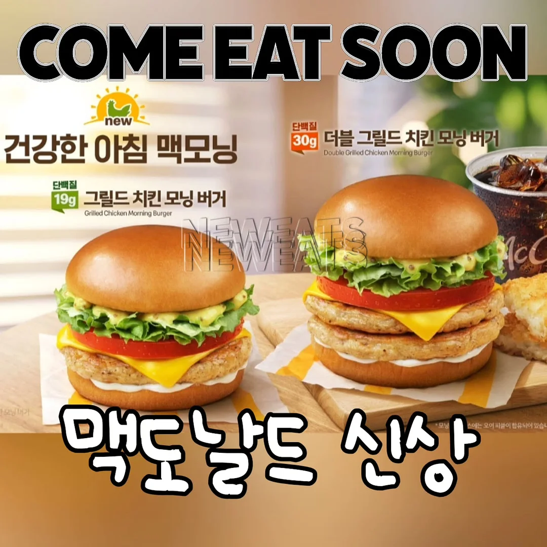 중학 국어 문법