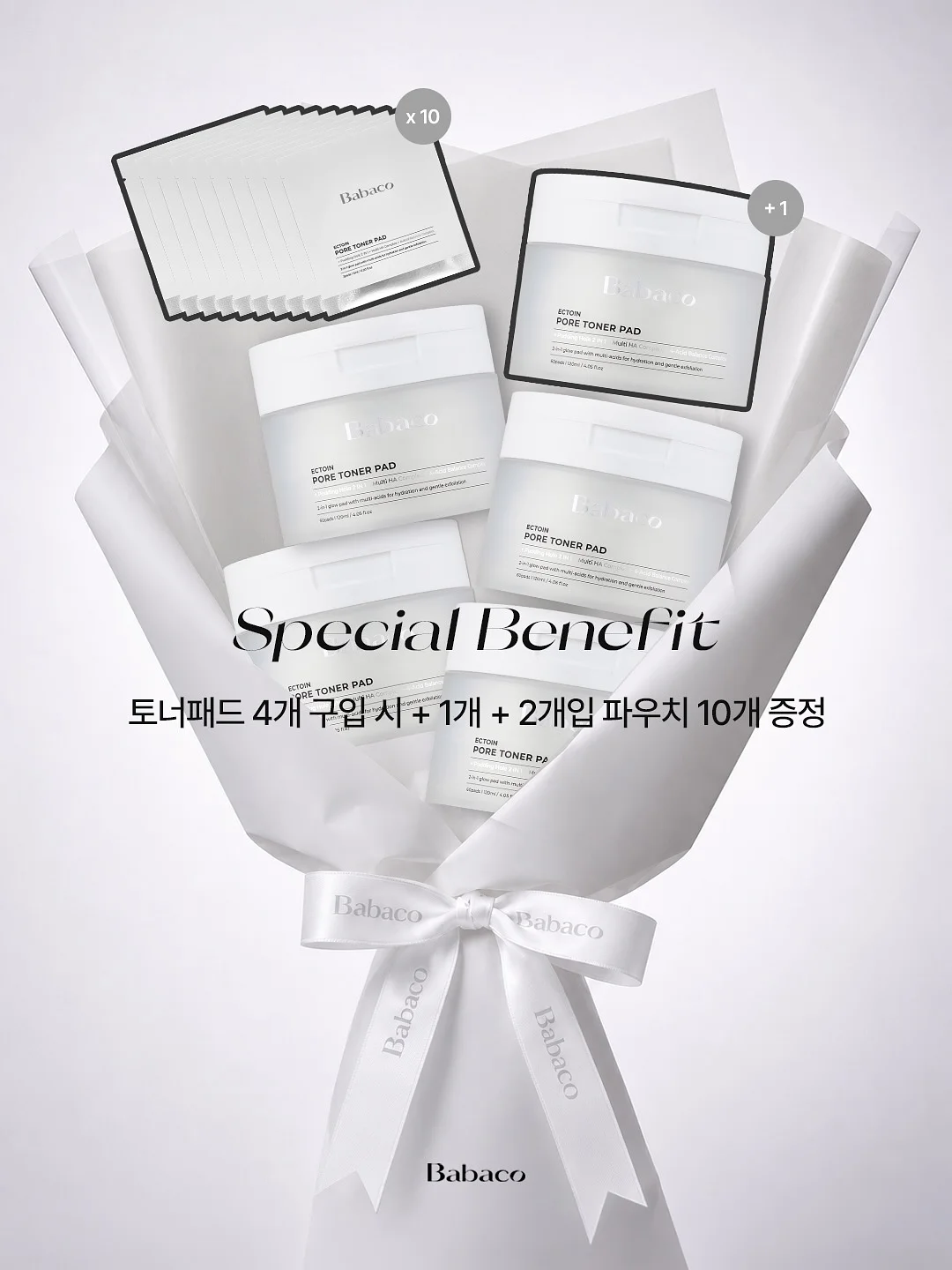 플로엔느 카네이션 2