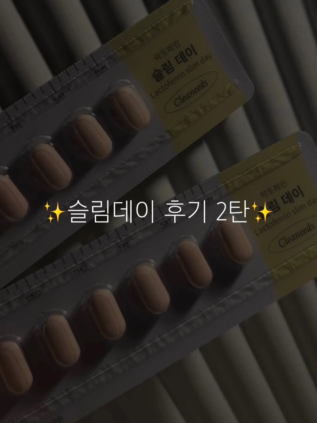 리스 소스팬 1