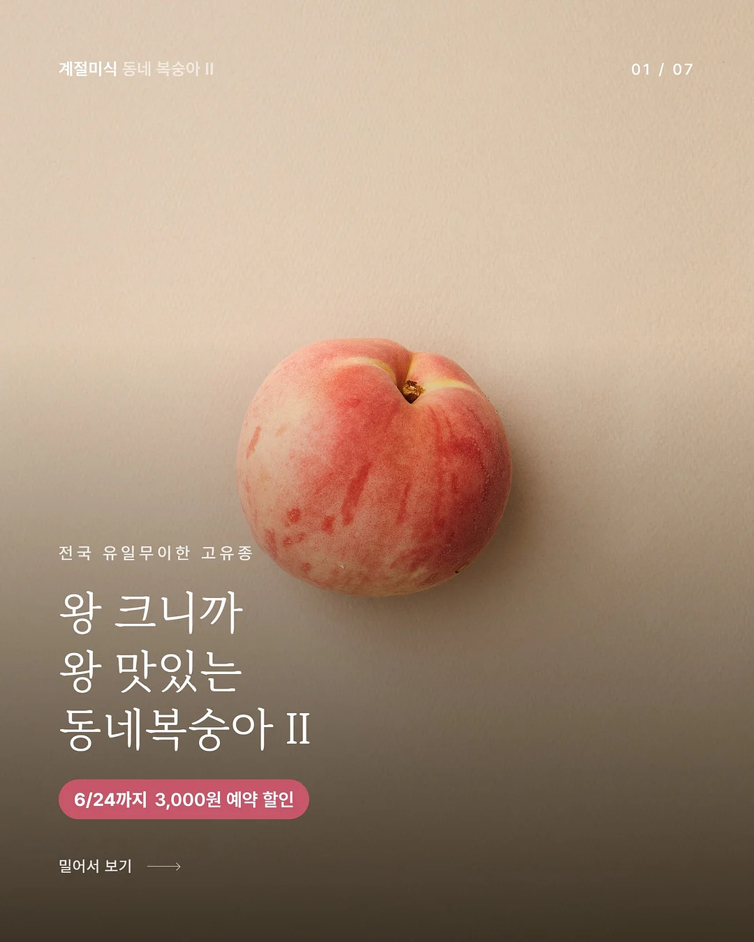 버뮤다팬츠 1