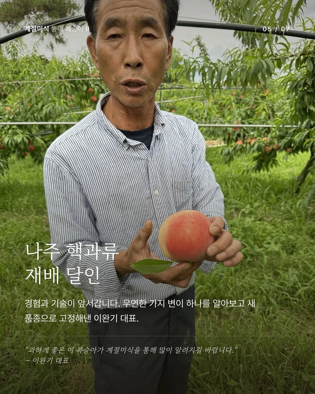 버뮤다팬츠 5