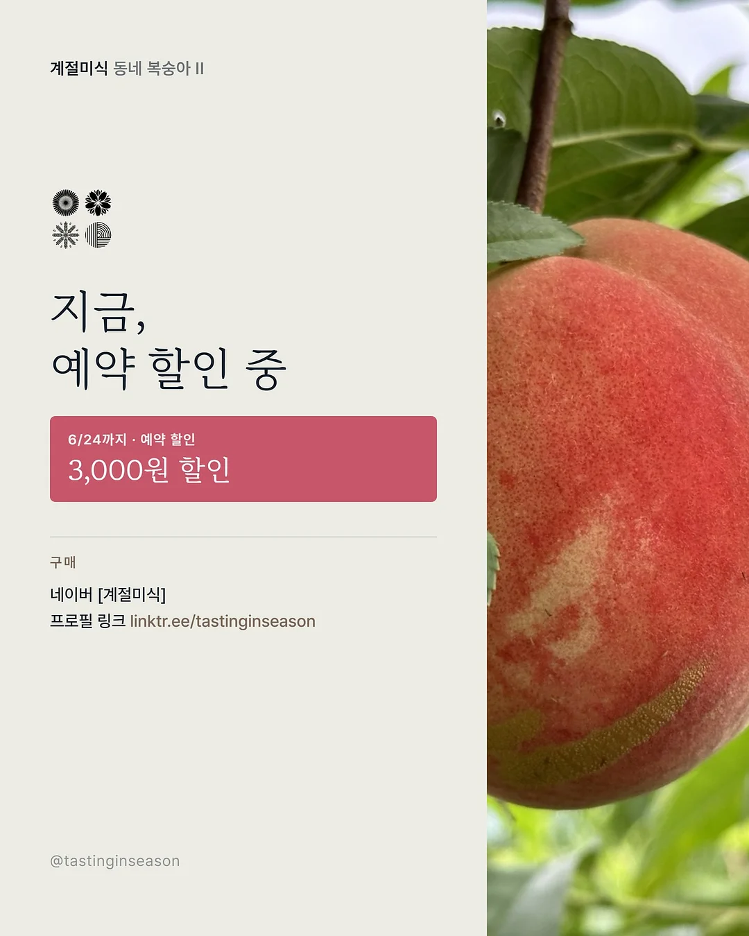 버뮤다팬츠 7