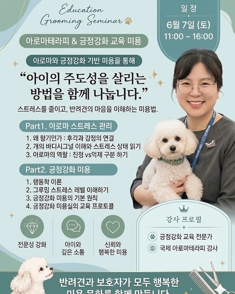 유니 베이직 보트넥 반팔티 2