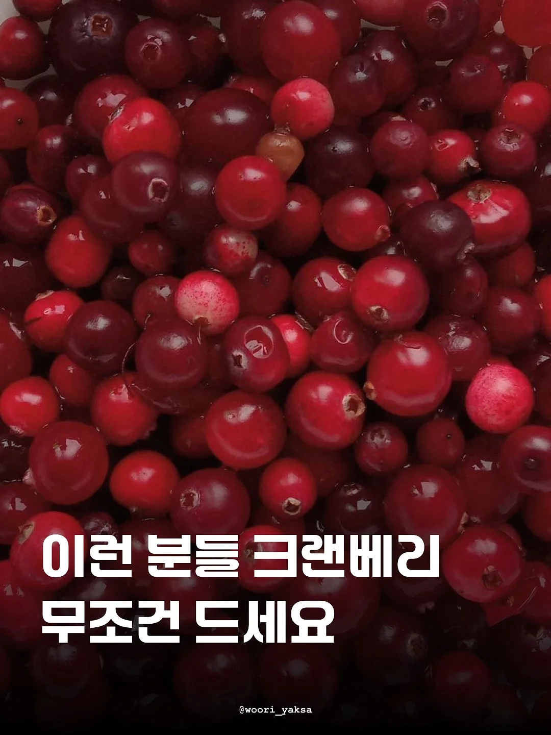 이벤트 스티커 1