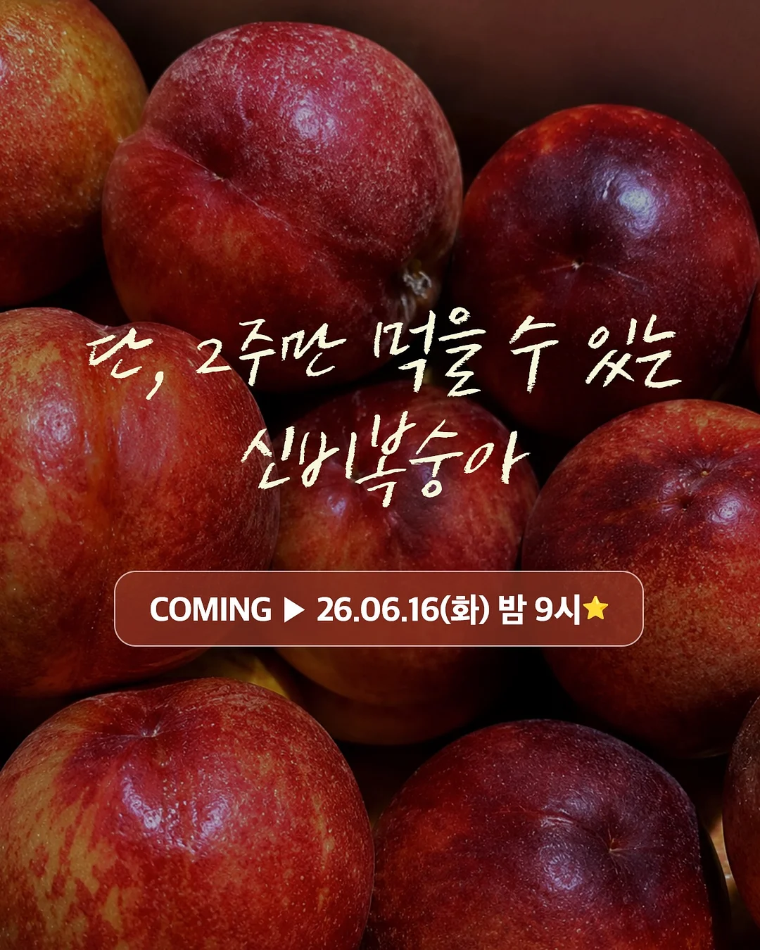 속눈썹 히팅뷰러