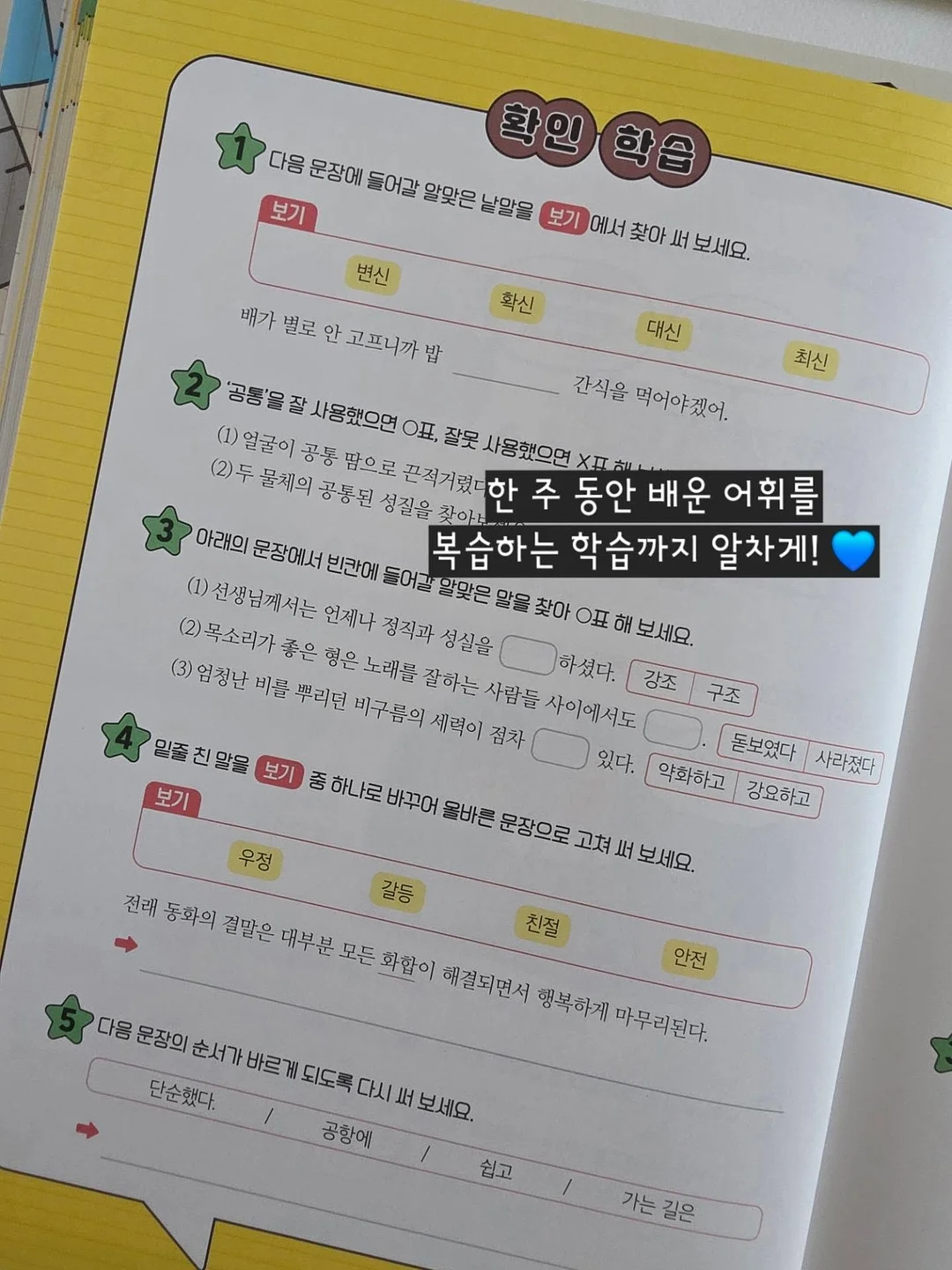 수지 단과 디프로마 11
