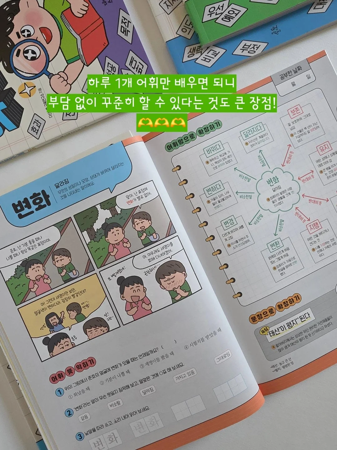 수지 단과 디프로마 12