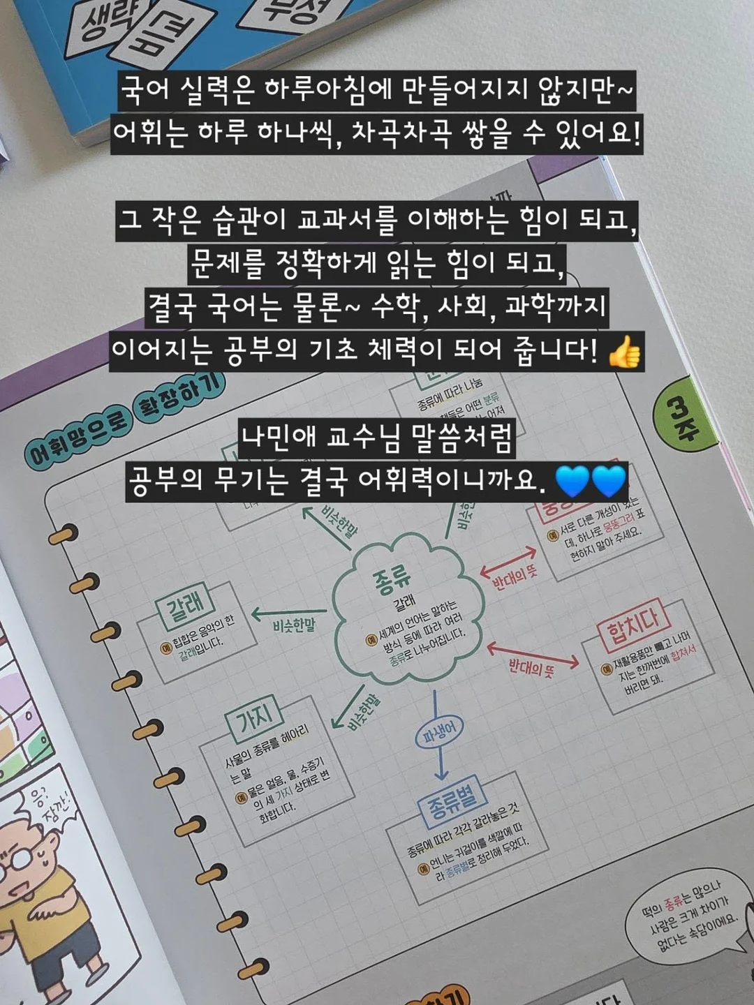 수지 단과 디프로마 14