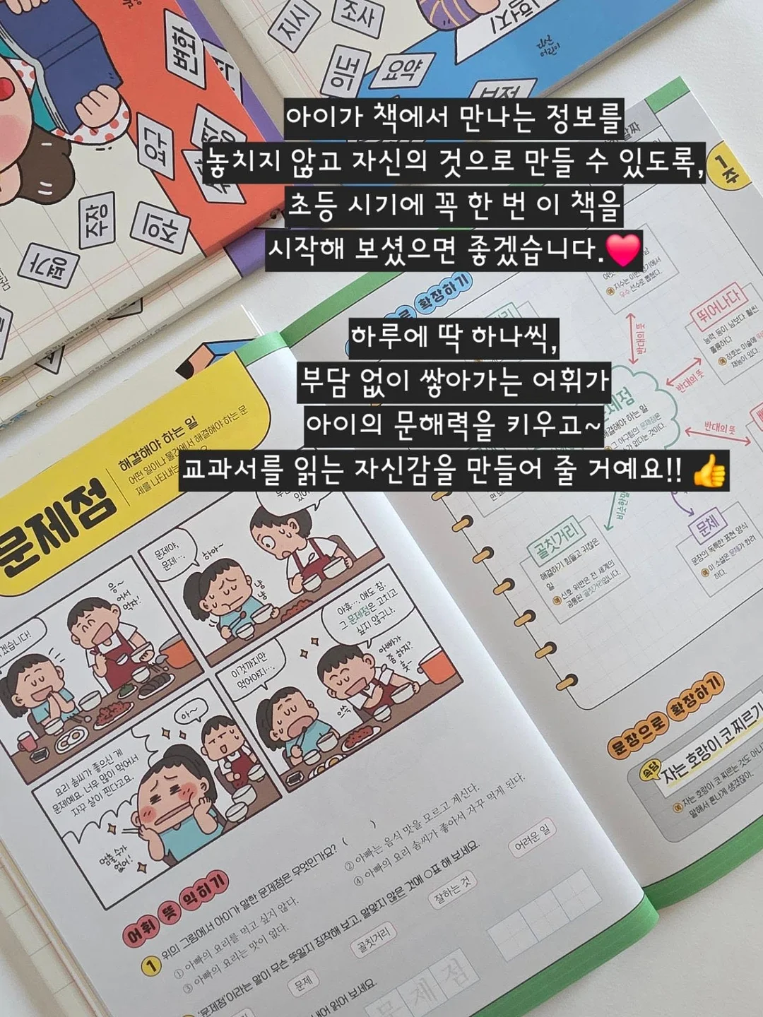 수지 단과 디프로마 15