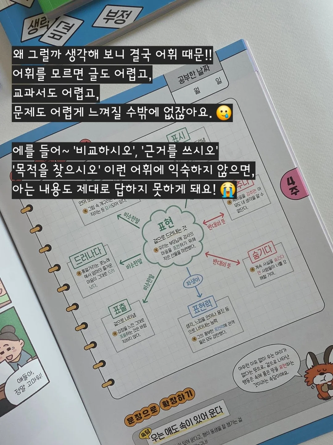 수지 단과 디프로마 4