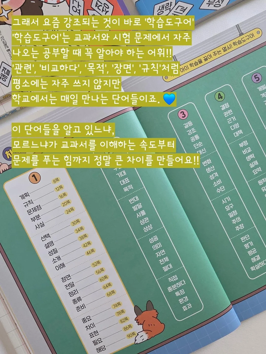 수지 단과 디프로마 5