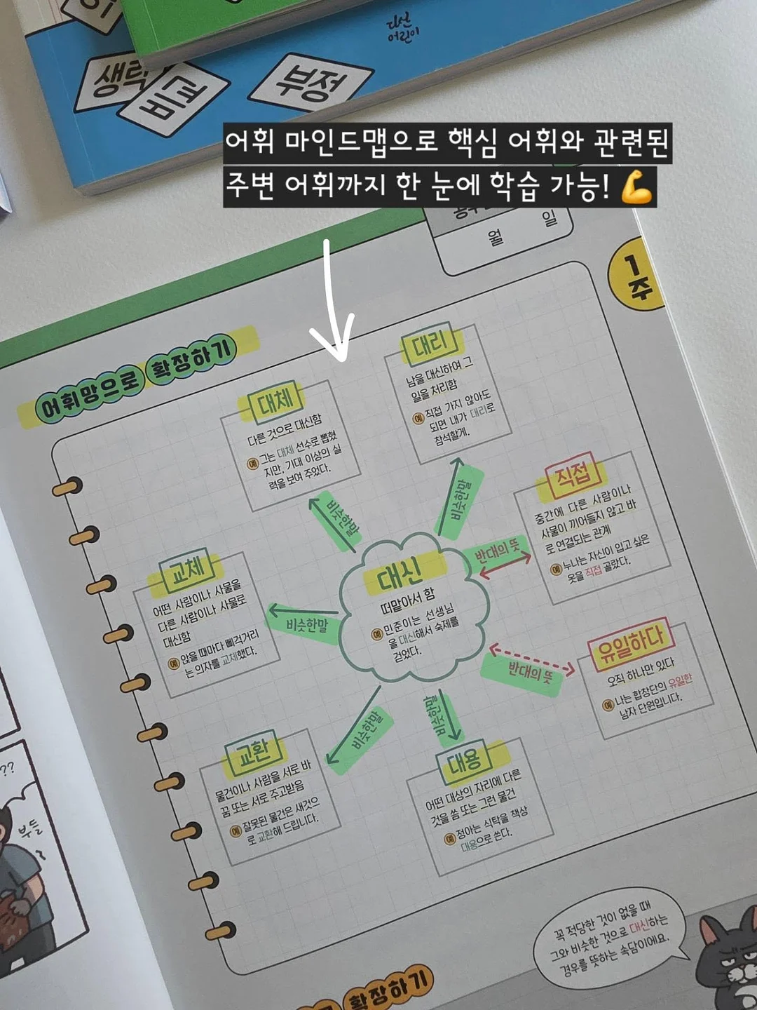 수지 단과 디프로마 8