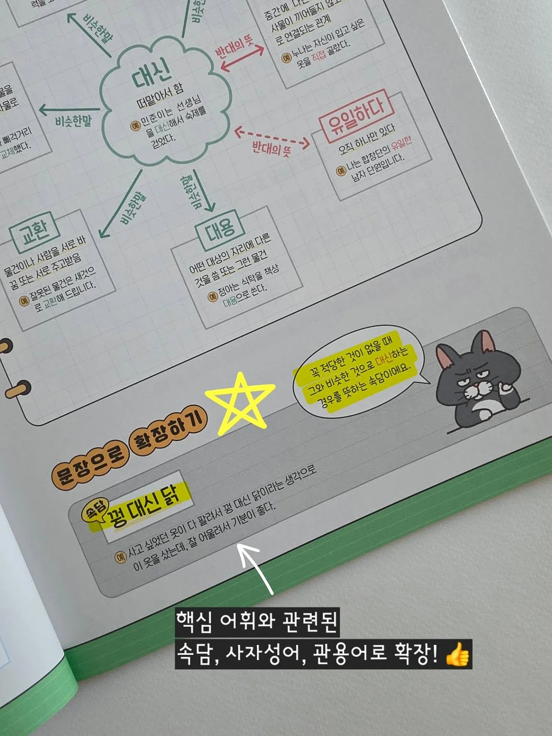 수지 단과 디프로마 9