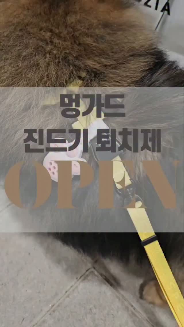 해시태그풀빌라 숙박