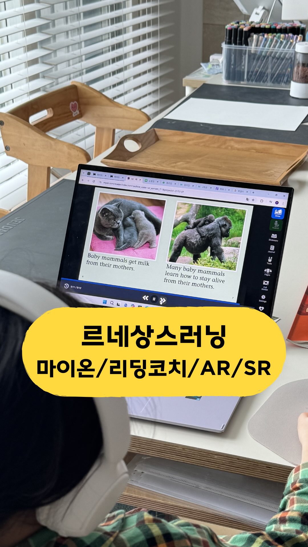 그레이베일OPS