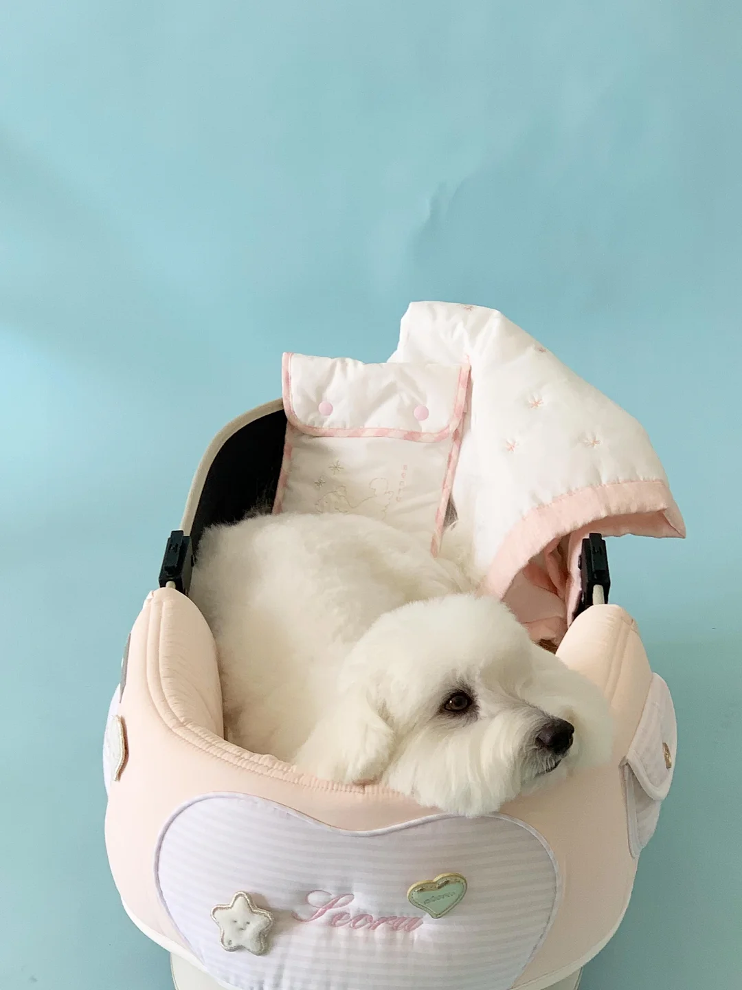 액세서리 2