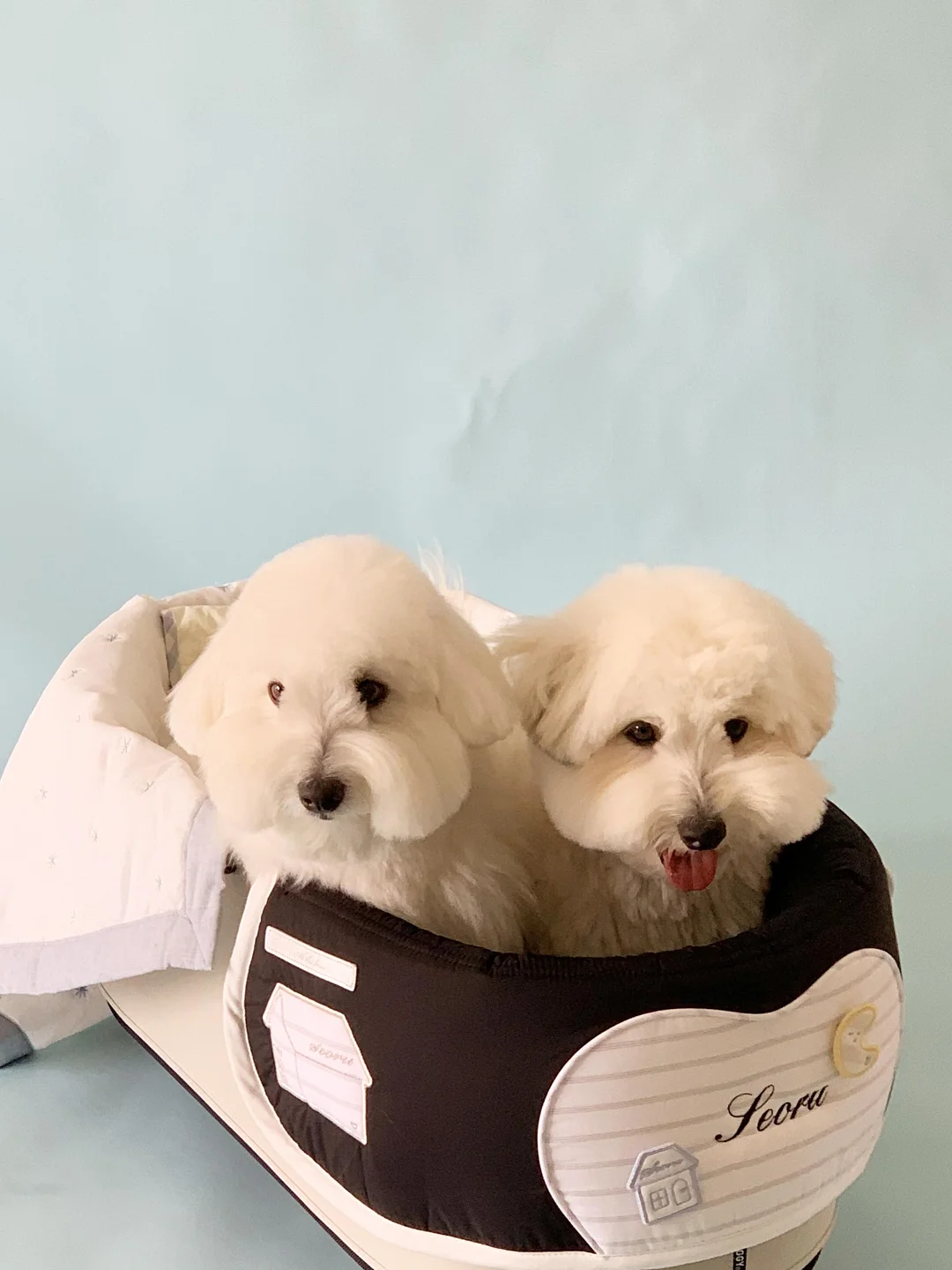 액세서리 3