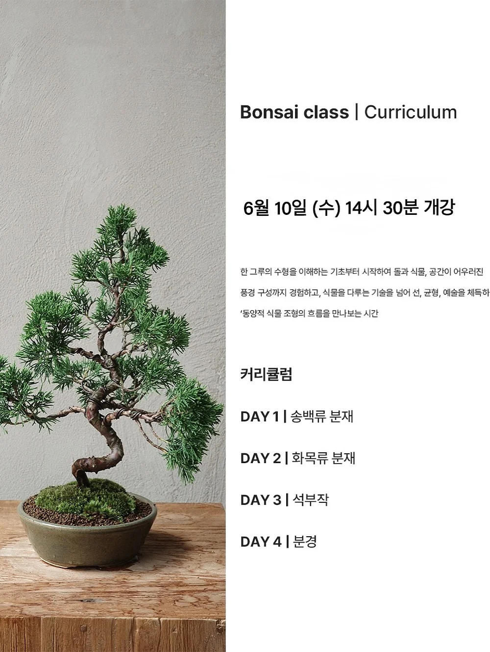 나이키 보메로 플러스 RR 남성 로드 러닝화 4