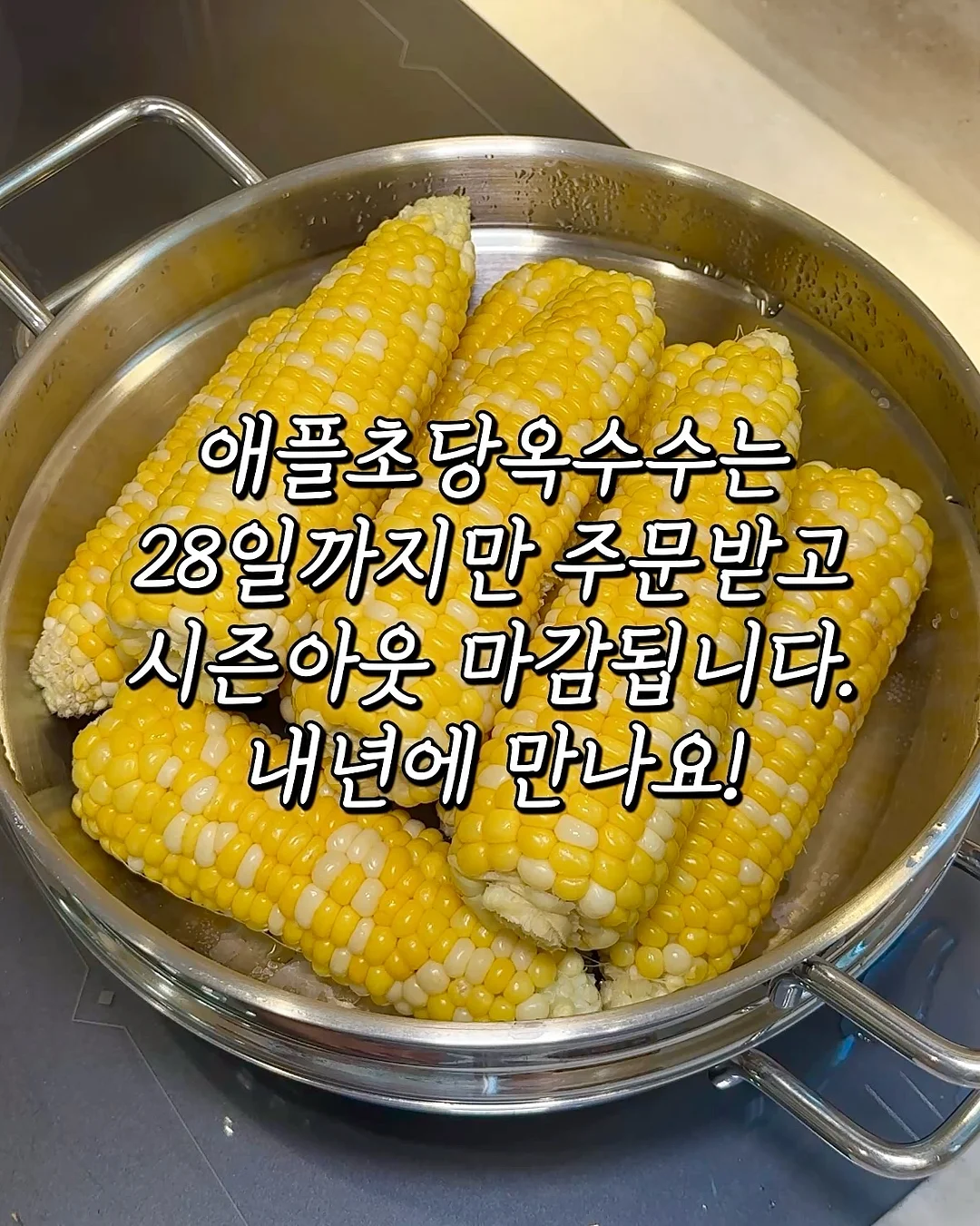퍼널 플란넬 우아 랩원피스 1
