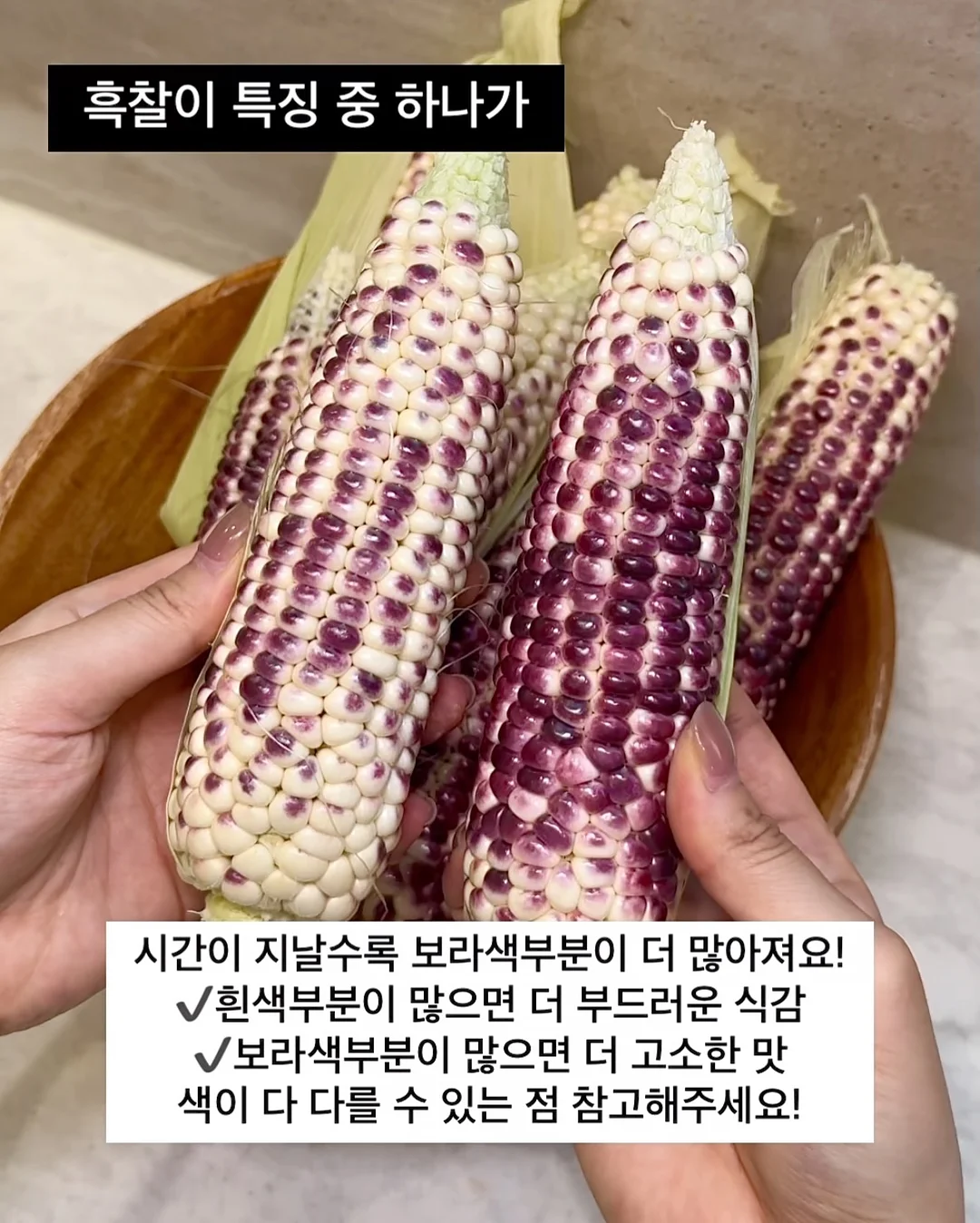 퍼널 플란넬 우아 랩원피스 9