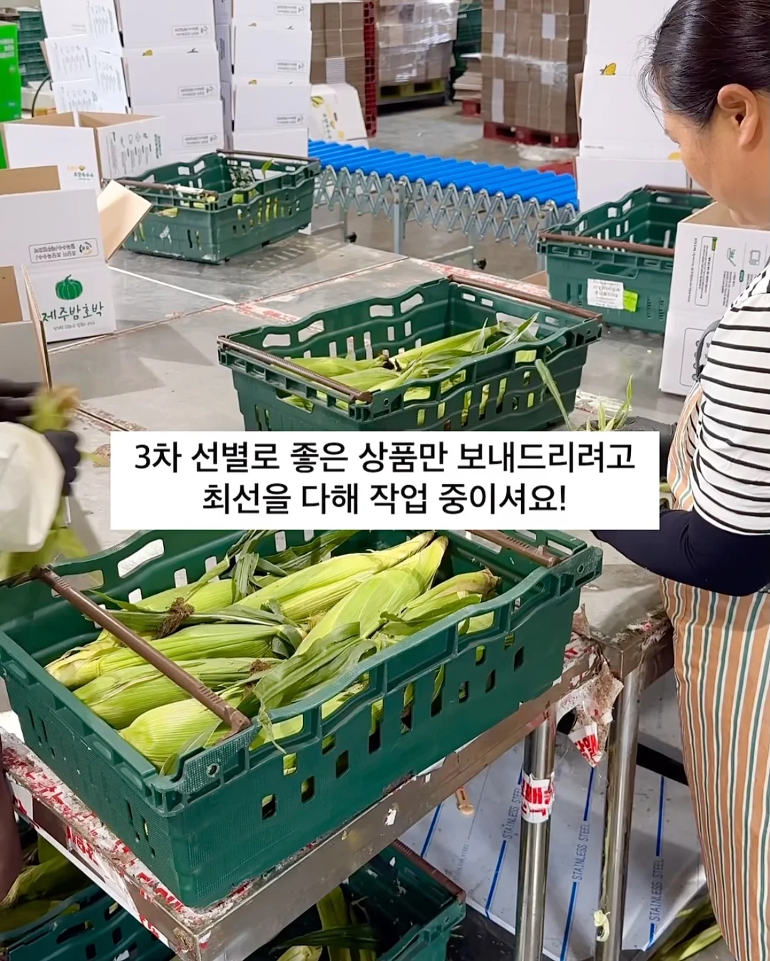 퍼널 플란넬 우아 랩원피스 10