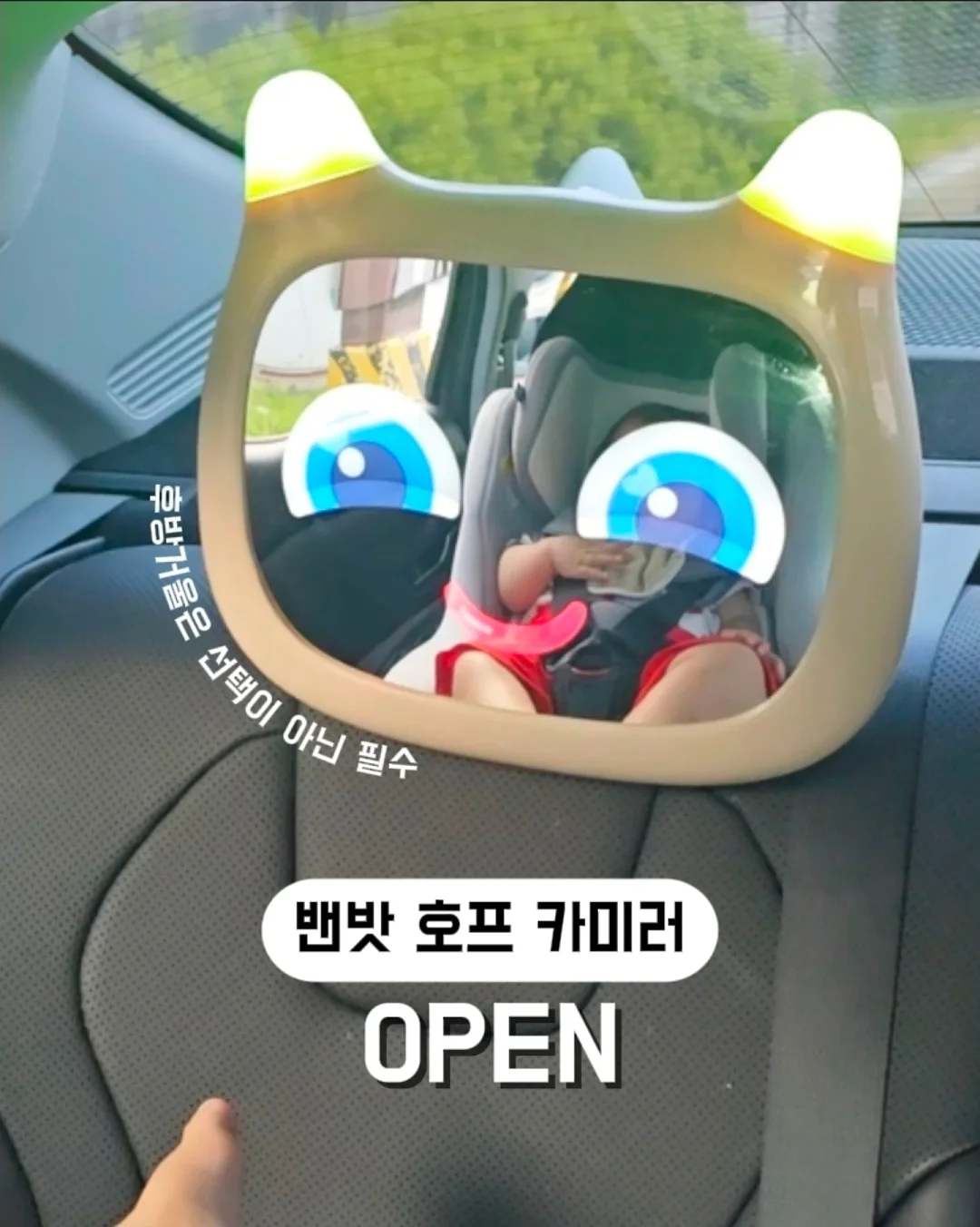 슈베가든 다진 야채, 다짐육 1