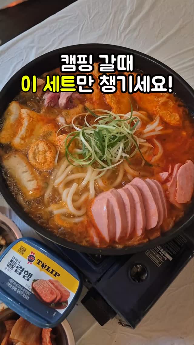 강아지 크록스 가방