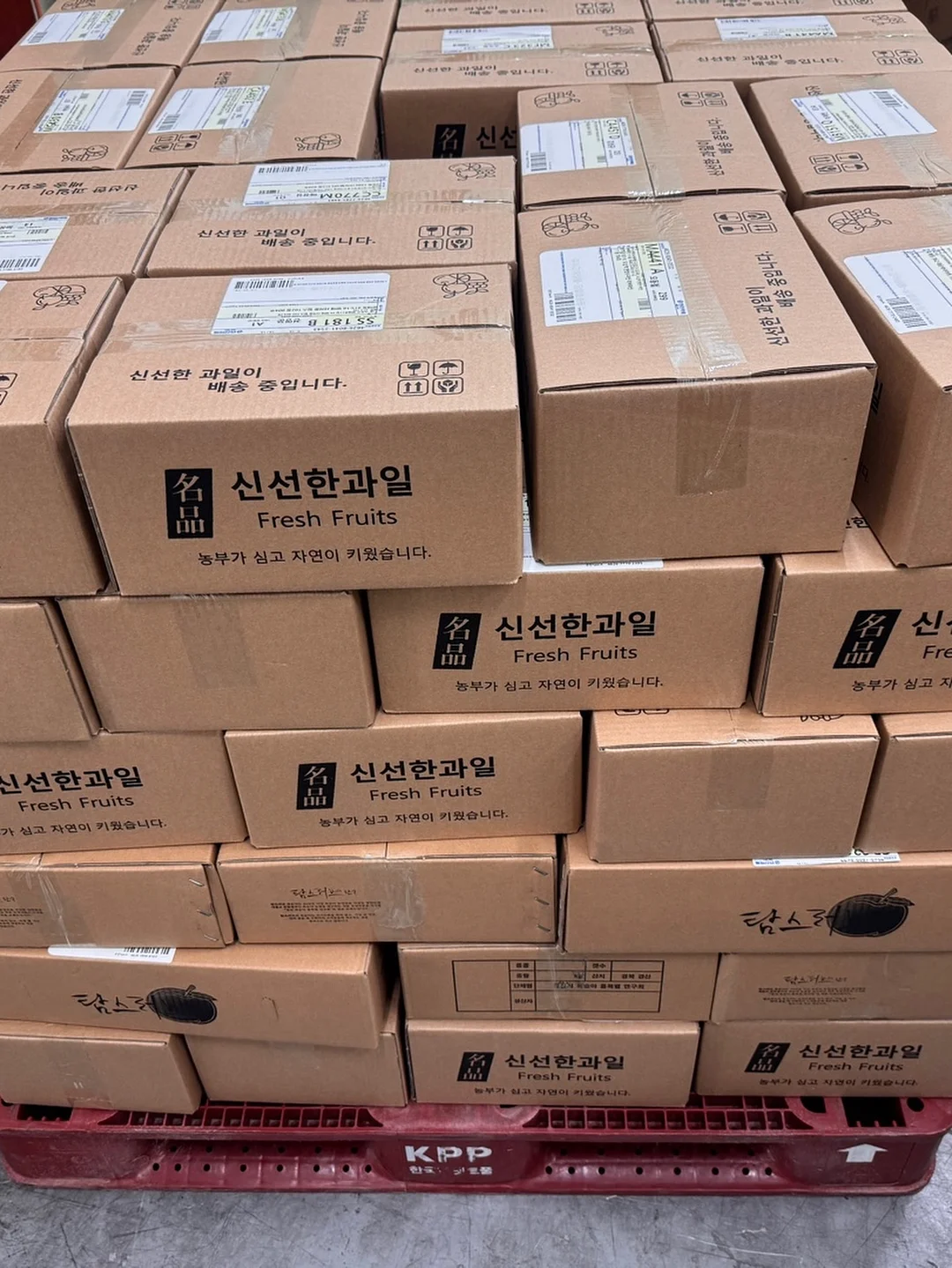 알록꽃젤리샌들 3