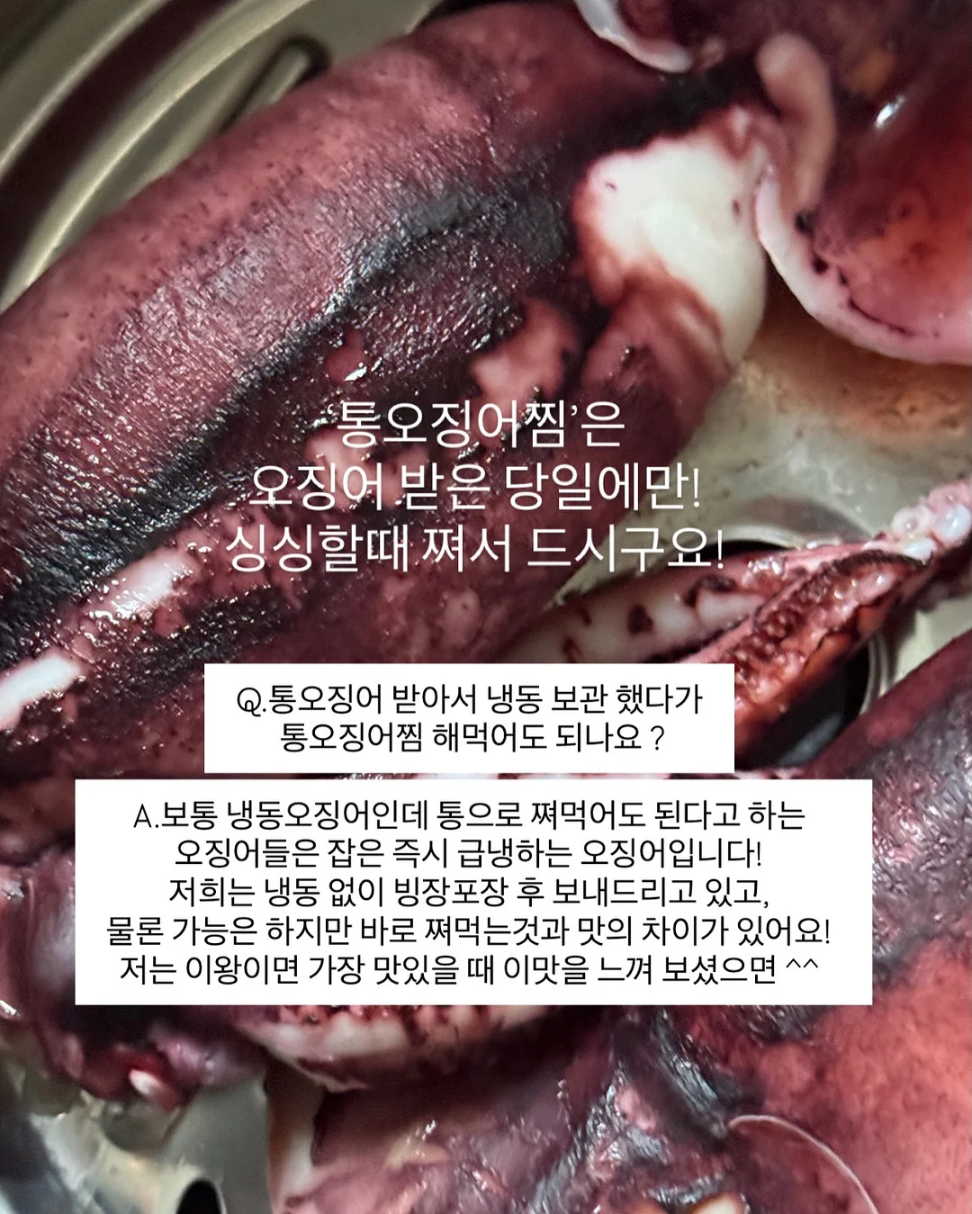 수영복과 비치 파우치 12