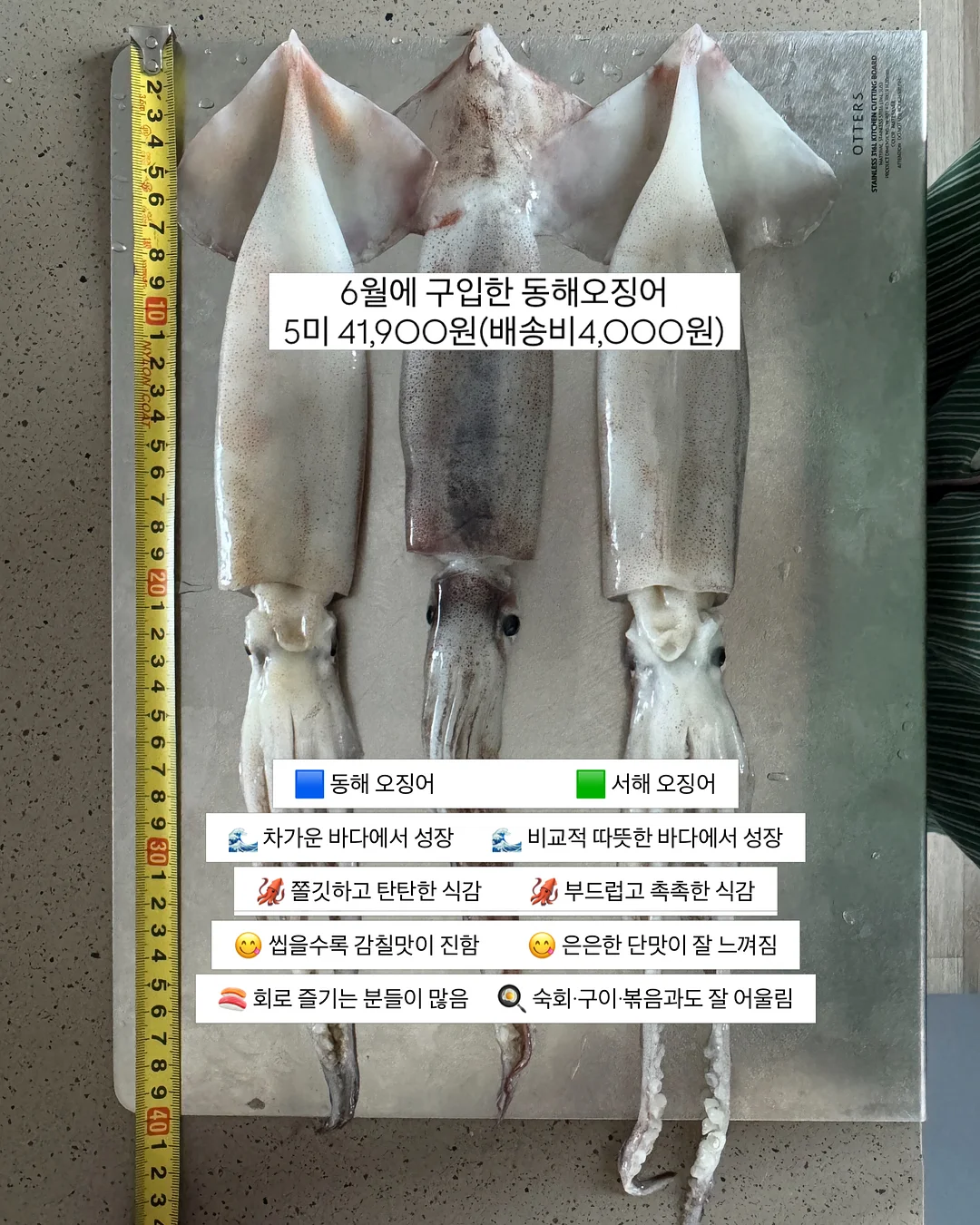 수영복과 비치 파우치 4