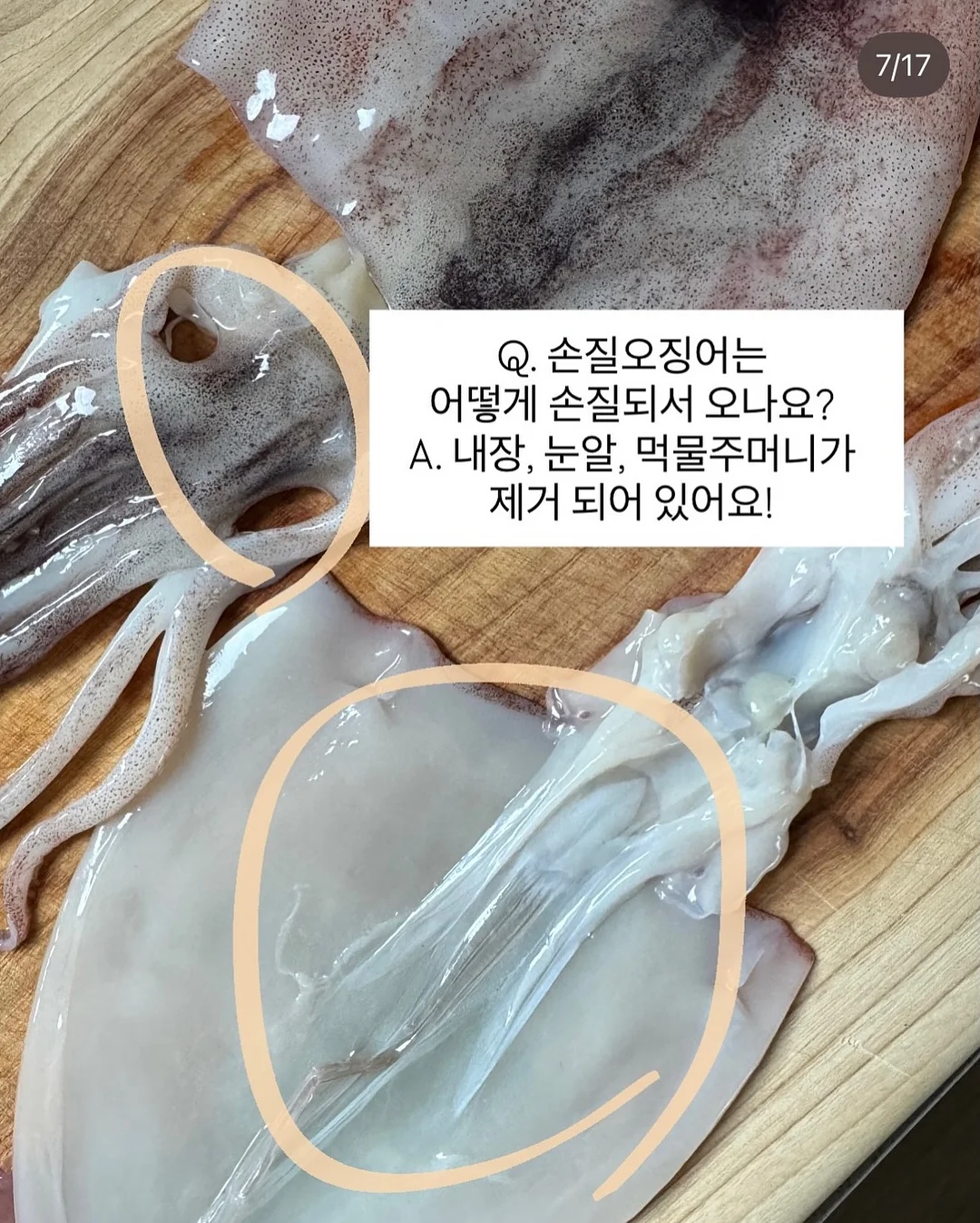 수영복과 비치 파우치 7