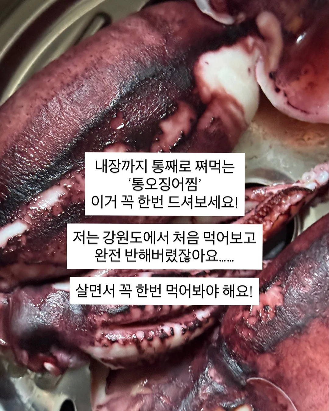 수영복과 비치 파우치 10