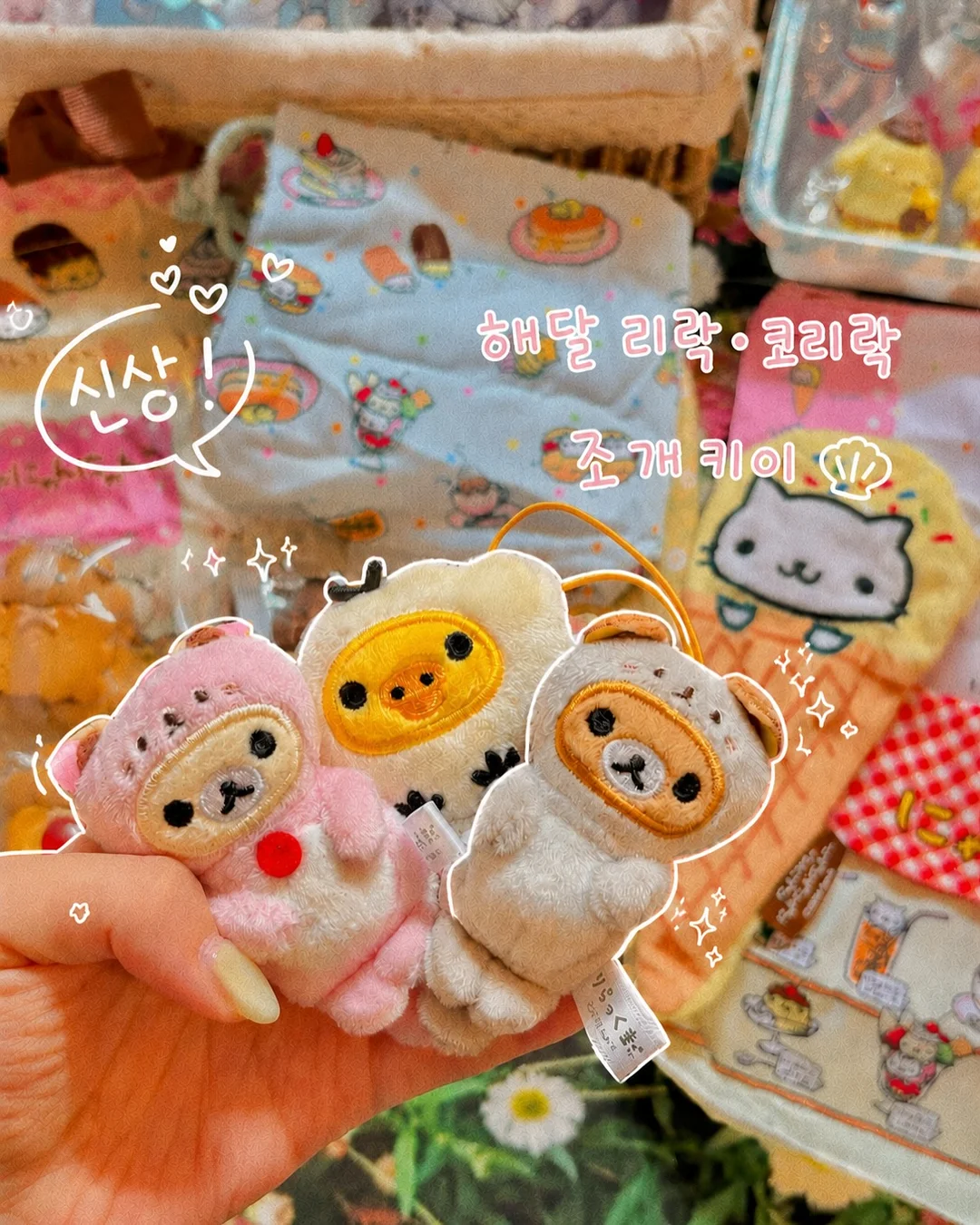 라플라 시그니처 셋업 2