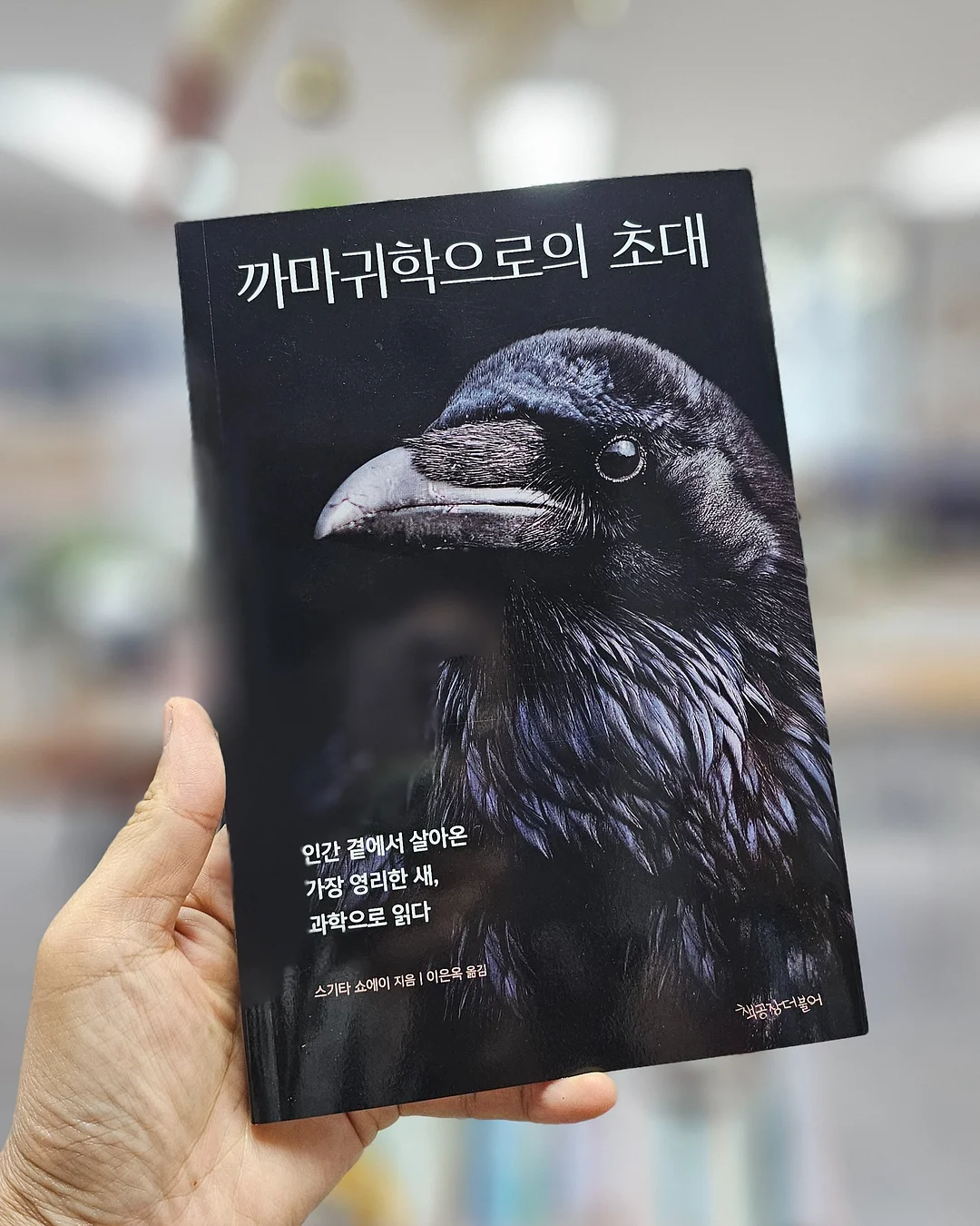 라비킷 두상베개 2