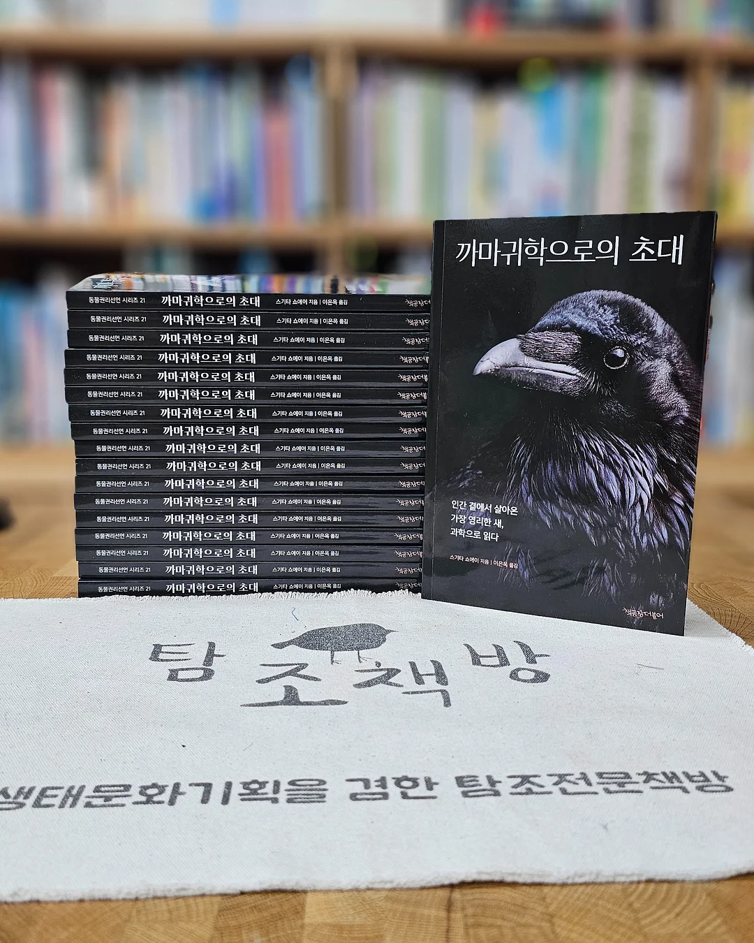 라비킷 두상베개 3