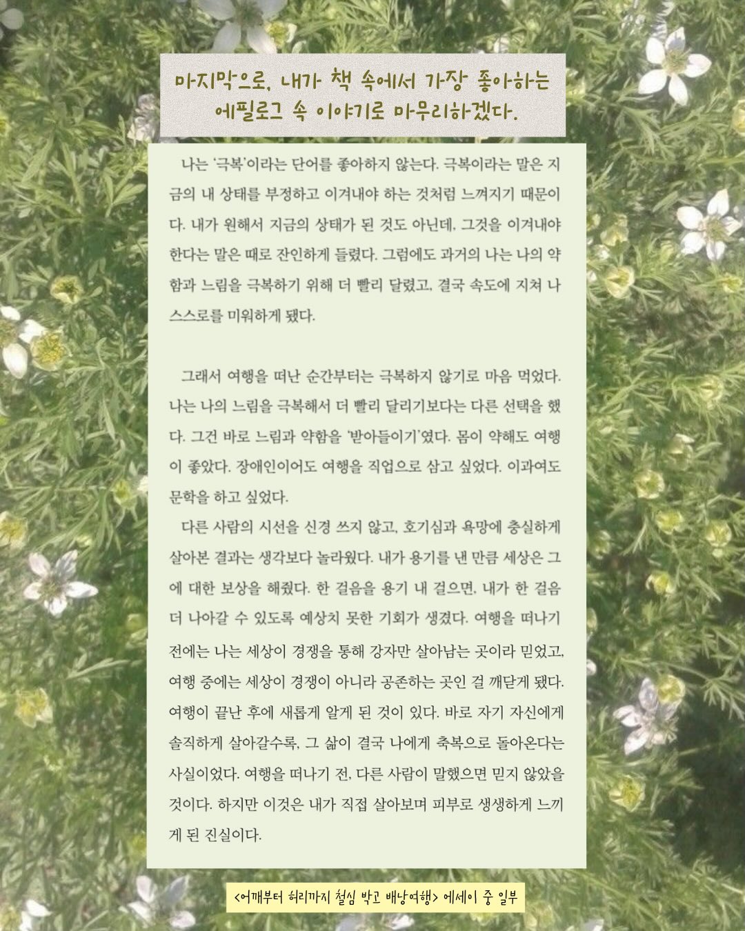 미태그 13
