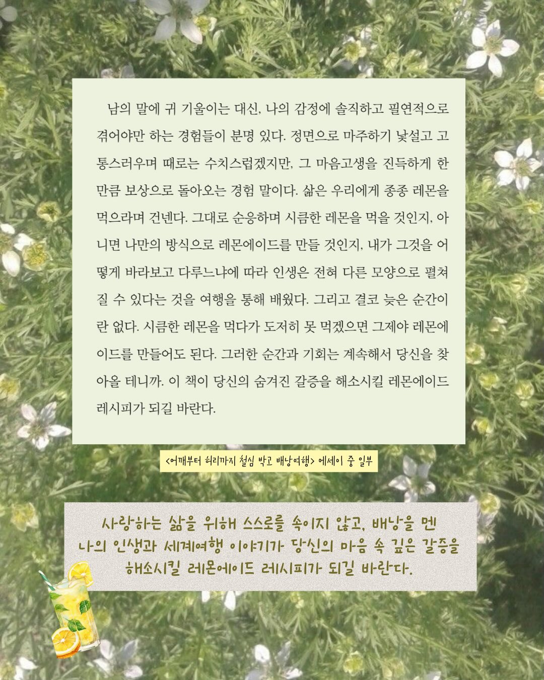 미태그 14